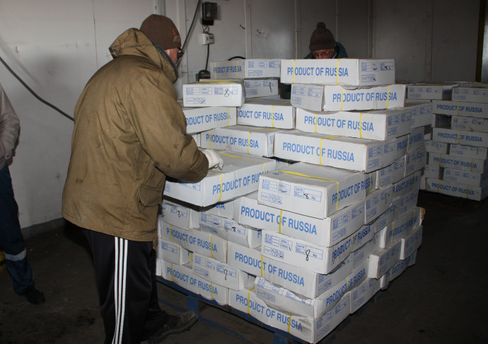 Объем экспорта рыбопродукции с Камчатки превысил прошлогодние показатели на треть Объем экспорта рыбопродукции с Камчатки превысил прошлогодние показатели на треть
