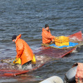 На Камчатке завершилась лососевая путина