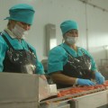 90 % экспорта Камчатки составляет рыбная продукция