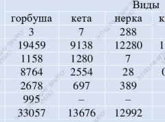 Итоги лососевой путины на 2 августа