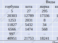 Итоги лососевой путины на 18 августа