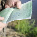 На реке Авача ввели &laquo;облегченные&raquo; путевки на вылов кеты и горбуши