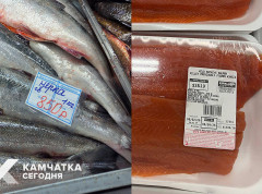 Лосось на Камчатке и на Аляске: сравниваем цены