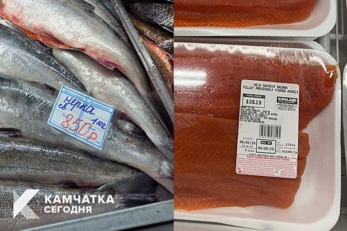 Лосось на Камчатке и на Аляске: сравниваем цены