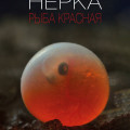 Фильм &laquo;Нерка. Рыба красная&raquo; закрыл первый день ВЭФ
