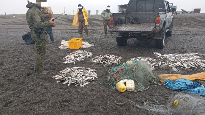 На побережье Охотского моря задержаны граждане, которые подозреваются в браконьерстве
