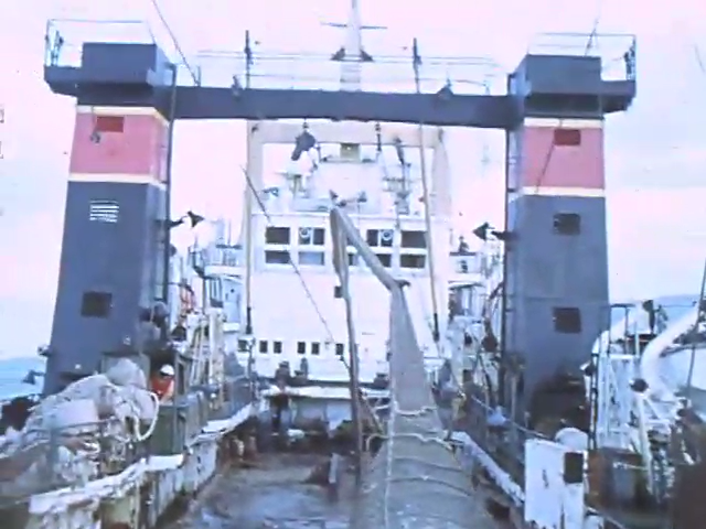 О промысле в Беринговом море, 1988 год