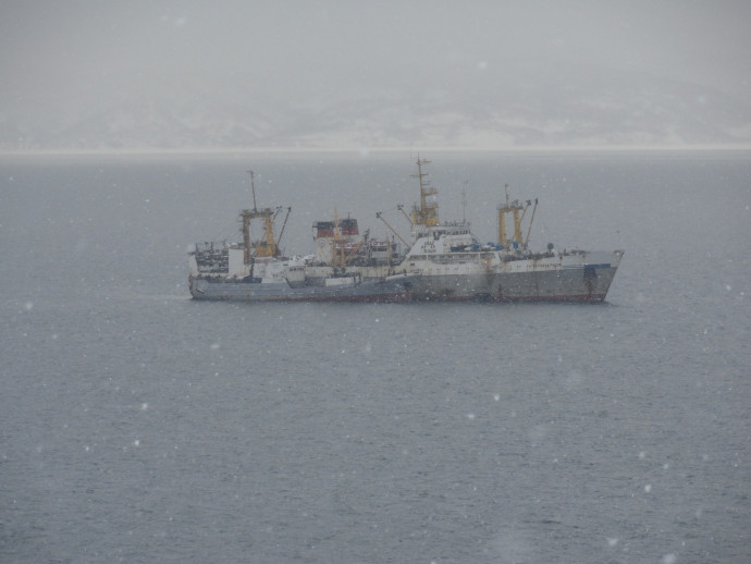 Вылов минтая в Охотском море превысил 850 тысяч тонн Вылов минтая в Охотском море превысил 850 тысяч тонн