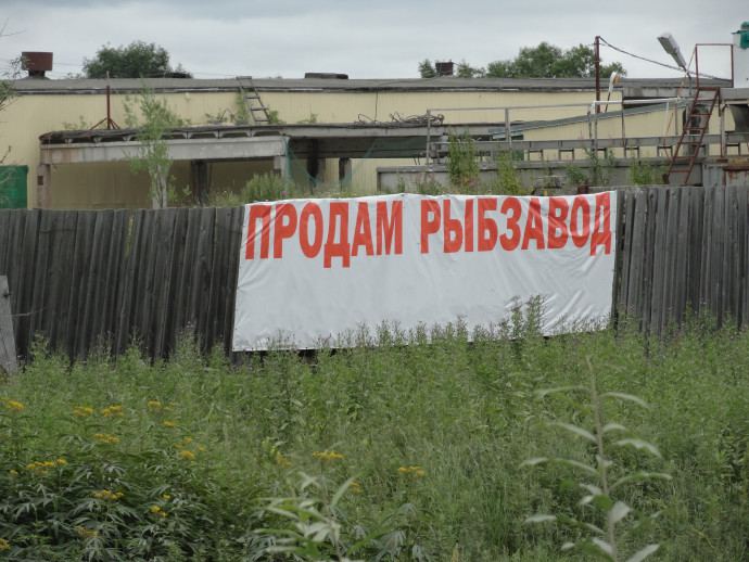 Продразверстка для добытчиков лососей (обновлено)