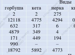 Итоги лососевой путины на 19 июля