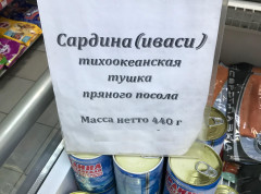 Иваси чудит
