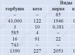 Итоги лососевой путины на 28 июня