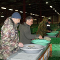 Первый, пошёл!