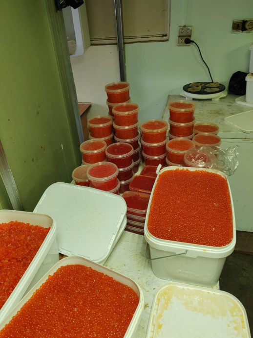 В Елизово найден цех по производству нелегальной икорной продукции В Елизово найден цех по производству нелегальной икорной продукции