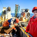 У восточного побережья Камчатки завершилась научная экспедиция 2 У восточного побережья Камчатки завершилась научная экспедиция 2