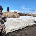 На Камчатке завершились исследования  корфо-карагинской сельди 0