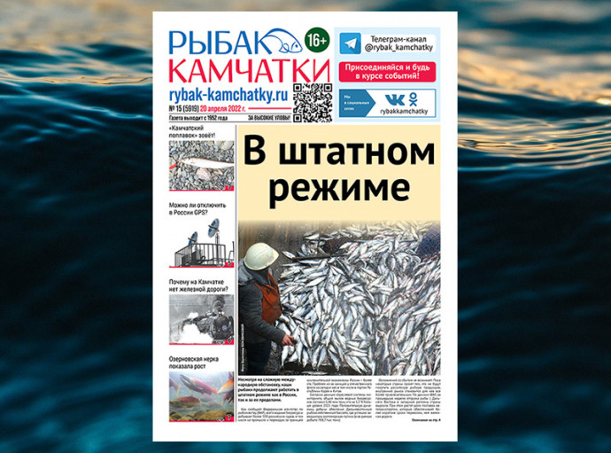 Не пропустите сегодняшний «Рыбак Камчатки» № 15! Не пропустите сегодняшний «Рыбак Камчатки» № 15!